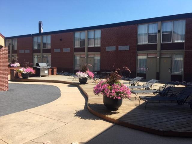 Boarders Inn & Suites By Cobblestone Hotels - Grand Island Buitenkant foto